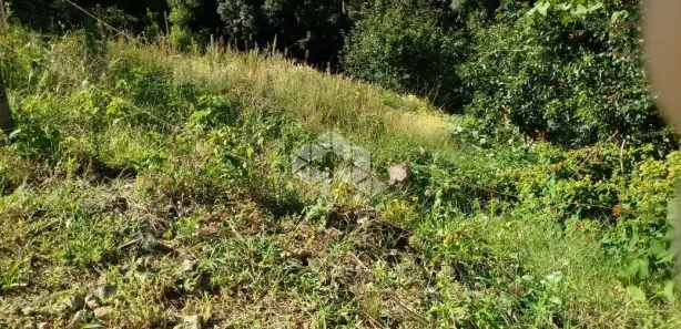 Lote/Terreno à venda, 611m² no São Roque, Bento Gonçalves