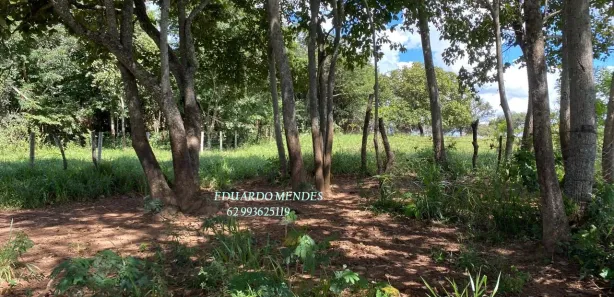 Fazenda/Sítio à venda, 70000m² no , Gameleira de Goiás