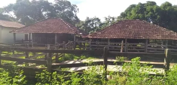 Fazenda/Sítio à venda no Jardim Vera Cruz, Jaraguá