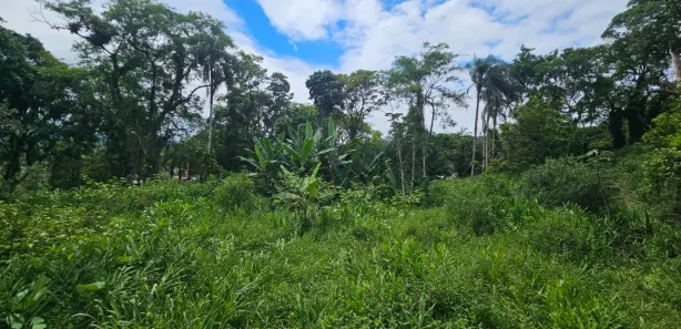 Lote/Terreno à venda, 900m² no Antonina, Antonina