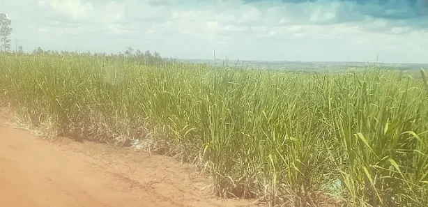 Fazenda/Sítio à venda, 12027400m² no , Cruzeiro do Oeste