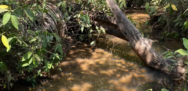 Fazenda/Sítio com 4 Quartos à venda, 15000m² no Condomínio Mestre D'Armas, Brasília