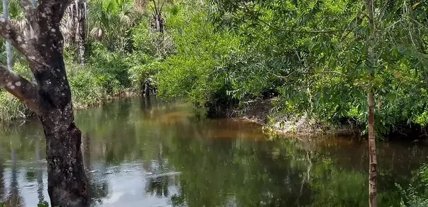 Lote/Terreno à venda, 1010000m² no , Santo Amaro do Maranhão