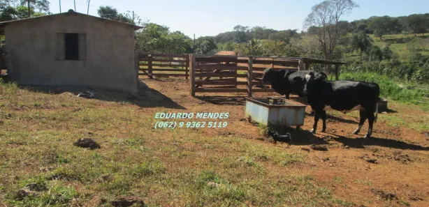 Fazenda/Sítio com 4 Quartos à venda, 96800m² no , Abadiânia