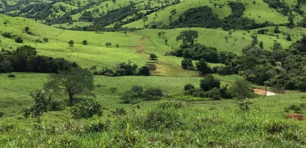 Fazenda/Sítio à venda, 10164000m² no , São Luiz do Norte