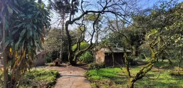 Fazenda/Sítio com 3 Quartos à venda, 49000m² no , Caraá