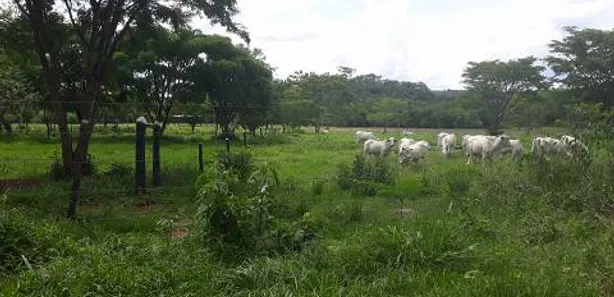 Lote/Terreno à venda, 20000m² no Zona Rural, Araçaí