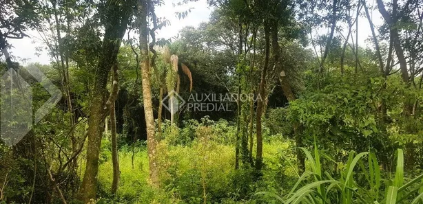 Lote/Terreno à venda, 600m² no Travessão, Dois Irmãos