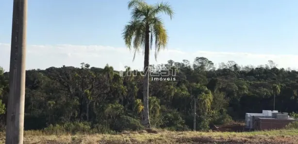 Lote/Terreno à venda, 327m² no João Alves, Santa Cruz do Sul