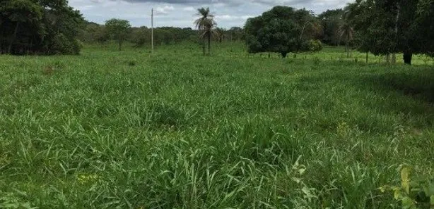 Fazenda/Sítio à venda, 3680000m² no , Cabeceira Grande