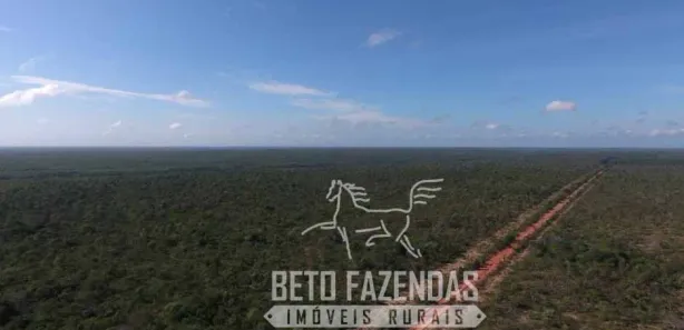 Fazenda/Sítio à venda, 208370000m² no , Urbano Santos