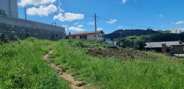 Lote/Terreno à venda, 425m² no Cruzeiro, Caxias do Sul