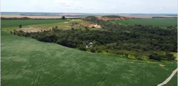 Fazenda/Sítio à venda, 142m² no , Silvânia