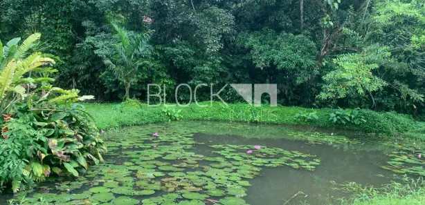 Lote/Terreno para alugar, 2500m² no Vargem Grande, Rio de Janeiro