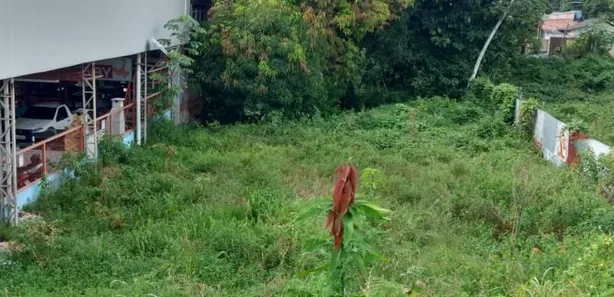 Lote/Terreno à venda no Cidade Nova, Manaus