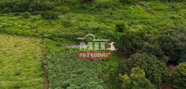 Fazenda/Sítio à venda, 20000m² no Vila Mutirão, Inhumas