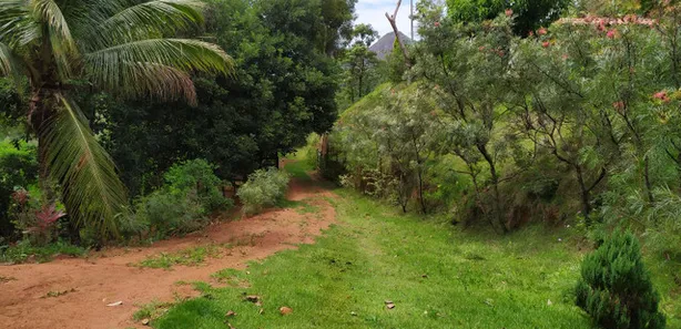 Fazenda/Sítio com 3 Quartos à venda, 150000m² no Comunidade Urbana de Iguape, Guarapari