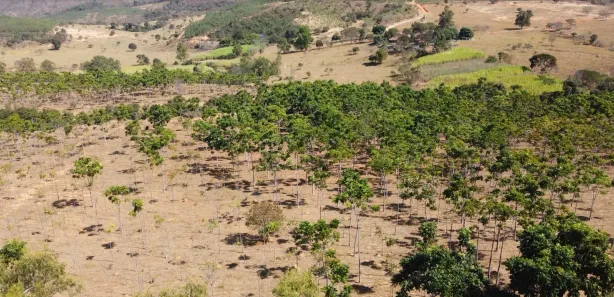 Lote/Terreno à venda, 20012m² no , Cordisburgo