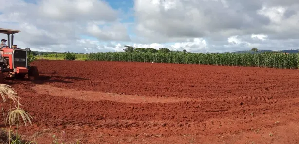 Fazenda/Sítio à venda, 2000m² no Área Rural, Goianira