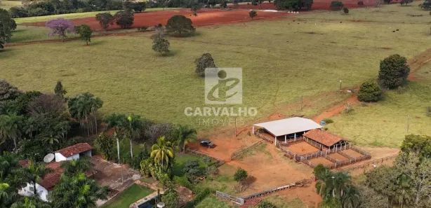 Fazenda/Sítio com 3 Quartos à venda, 960000m² no Área Rural, Goianira