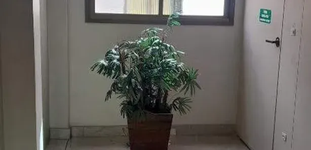 Sala Comercial para alugar, 100m² no Savassi, Belo Horizonte