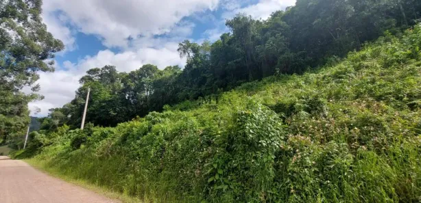 Lote/Terreno à venda, 30m² no Pinhal Alto, Nova Petrópolis