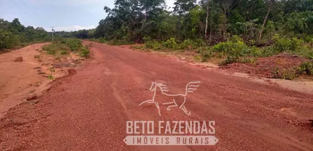 Fazenda/Sítio à venda, 208370000m² no , Urbano Santos