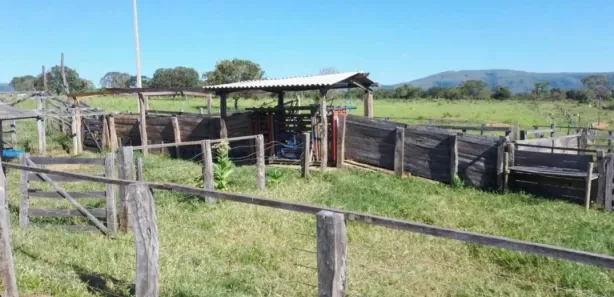 Fazenda/Sítio com 3 Quartos à venda, 162500m² no , Buritis