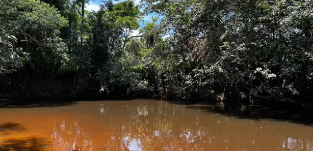 Lote/Terreno à venda, 20000m² no Serra do Cipó, Santana do Riacho