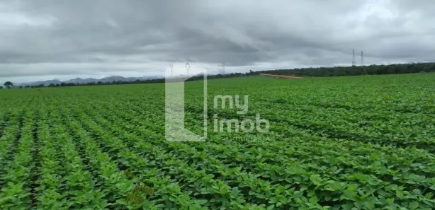 Fazenda/Sítio com 3 Quartos à venda, 190m² no , Niquelândia