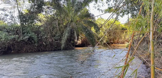 Fazenda/Sítio com 7 Quartos à venda, 700m² no , Nova Veneza