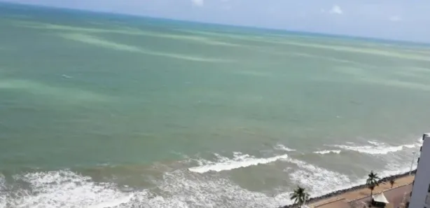 Flat com 1 Quarto para alugar, 35m² no Boa Viagem, Recife