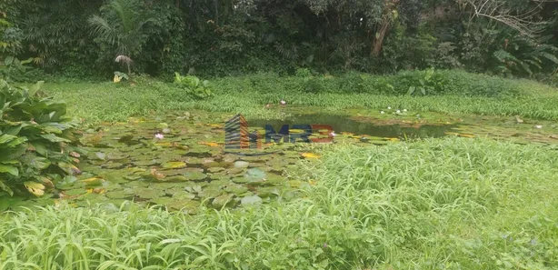 Lote/Terreno para alugar, 1700m² no Vargem Grande, Rio de Janeiro