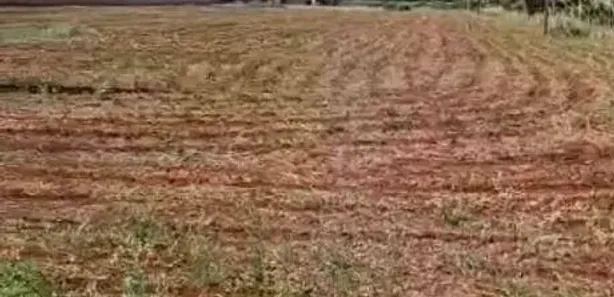 Lote/Terreno para venda ou aluguel, 10000m² no Br-376, Marialva