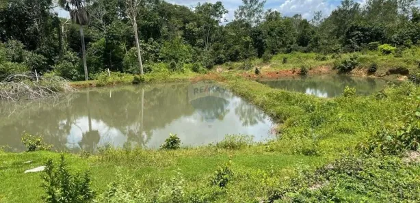 Fazenda/Sítio com 3 Quartos à venda, 2400000m² no Loteamento Araguaína Sul, Araguaína