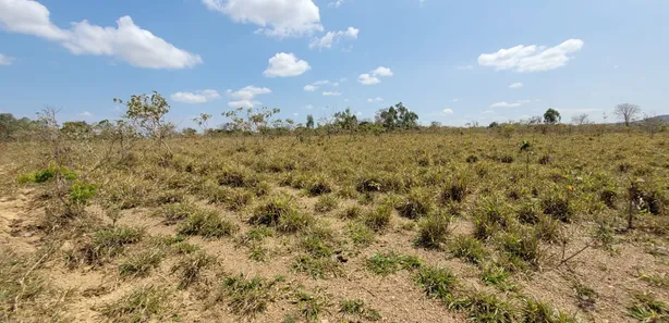 Fazenda/Sítio com 3 Quartos à venda, 170000m² no , Padre Bernardo