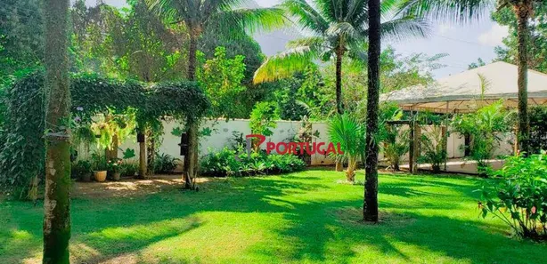 Fazenda/Sítio com 3 Quartos à venda, 2000m² no Glicério, Macaé