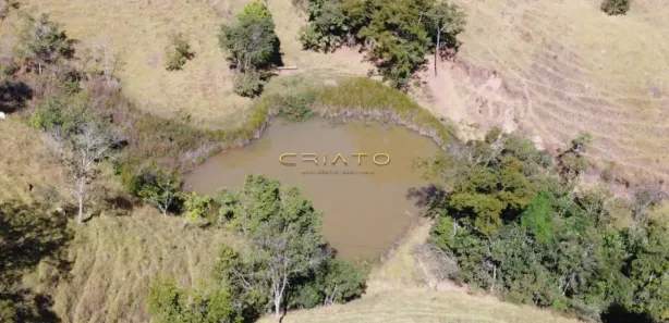 Fazenda/Sítio com 10 Quartos à venda, 100000m² no , Goianápolis