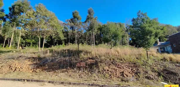 Lote/Terreno à venda, 490m² no , Nova Petrópolis