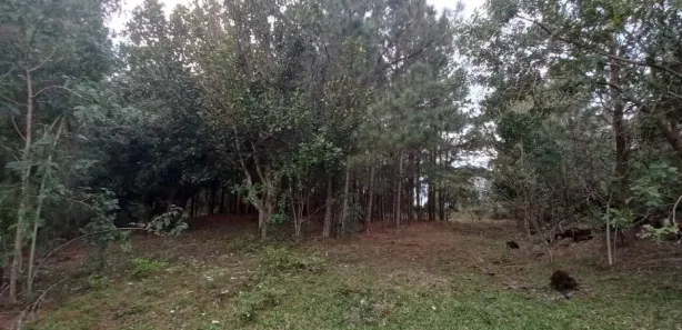 Lote/Terreno à venda, 3000m² no Krahe, Viamão