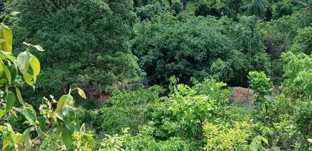 Fazenda/Sítio com 2 Quartos à venda, 13m² no , Aparecida do Rio Negro