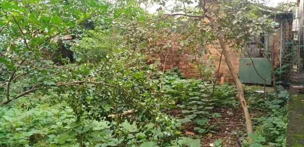 Lote/Terreno à venda, 1995m² no Centro, Bacabal