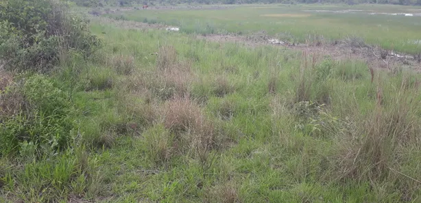 Lote/Terreno à venda, 20000m² no , Araçaí