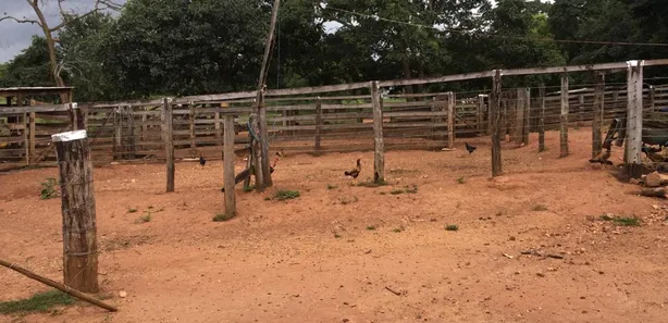 Fazenda/Sítio com 3 Quartos à venda, 43m² no Tupiracaba, Niquelândia