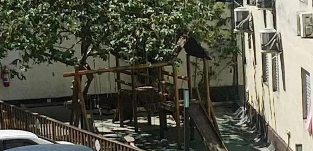 Apartamento com 2 Quartos à venda, 64m² no Conceiçãozinha, Guarujá