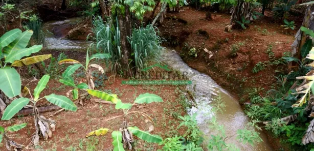Fazenda/Sítio com 2 Quartos à venda, 1900m² no Tereza Cristina, São Joaquim de Bicas