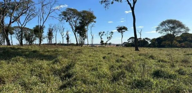 Fazenda/Sítio com 5 Quartos à venda, 600m² no , Leopoldo de Bulhões