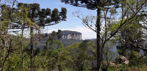 Lote/Terreno à venda, 15000m² no Dos Boêmios, Nova Petrópolis