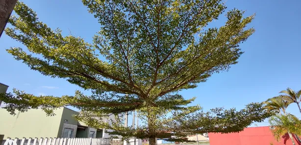 Sobrado com 3 Quartos à venda, 80m² no Balneario Albatroz, Matinhos