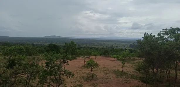 Lote/Terreno à venda, 20000m² no , Cordisburgo